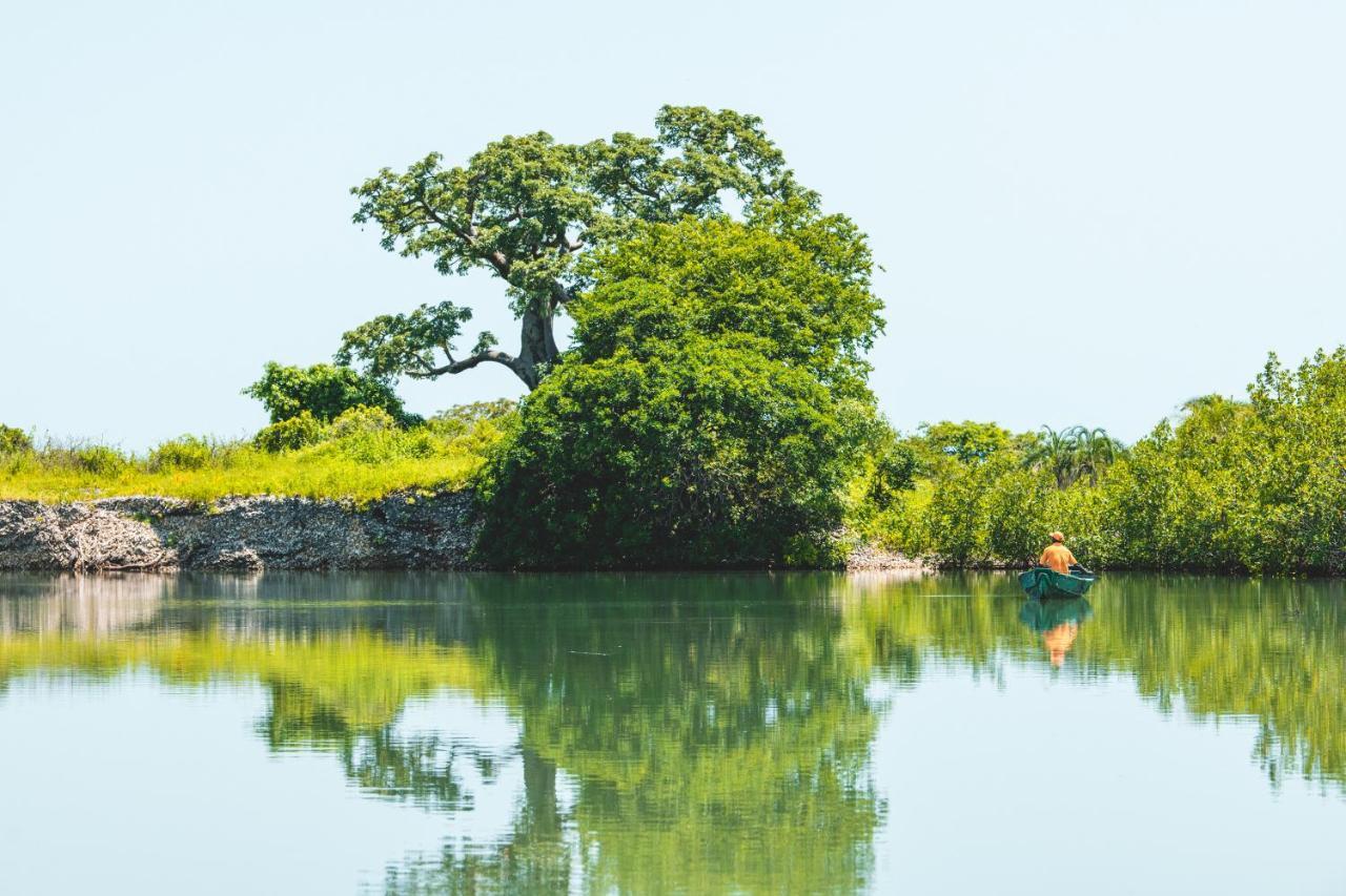 Tamba Kuruba Eco-Lodge Folonko Dış mekan fotoğraf