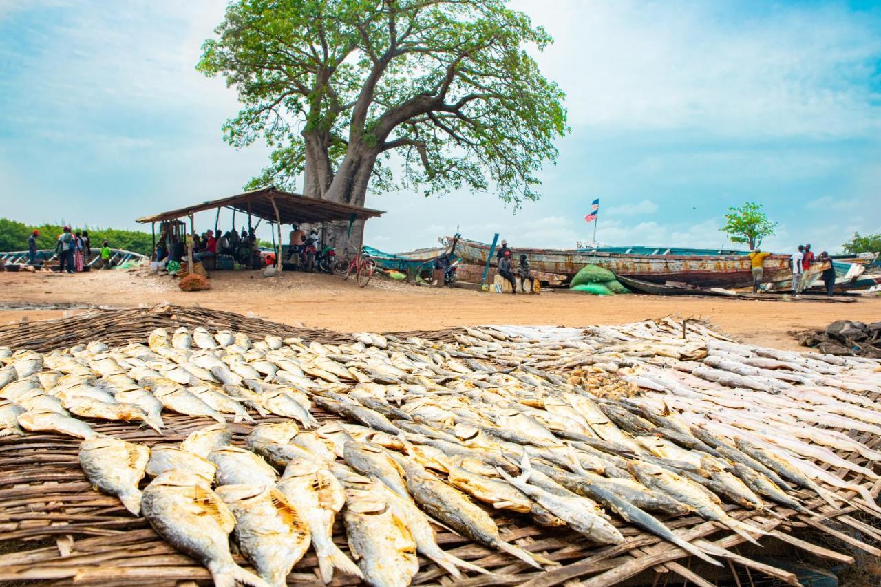 Tamba Kuruba Eco-Lodge Folonko Dış mekan fotoğraf